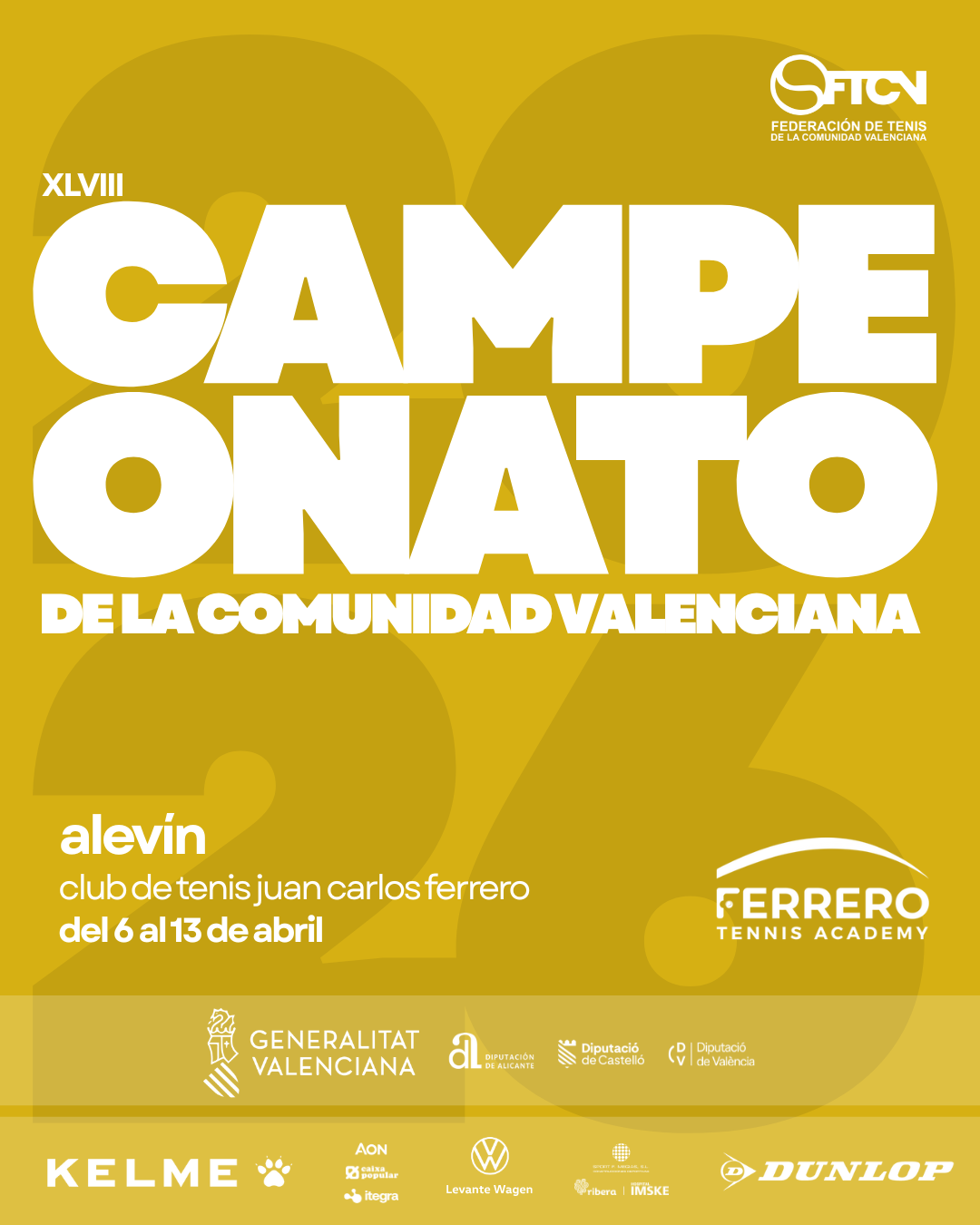 Cartel Campeonato de la Comunitat Valenciana Alevín