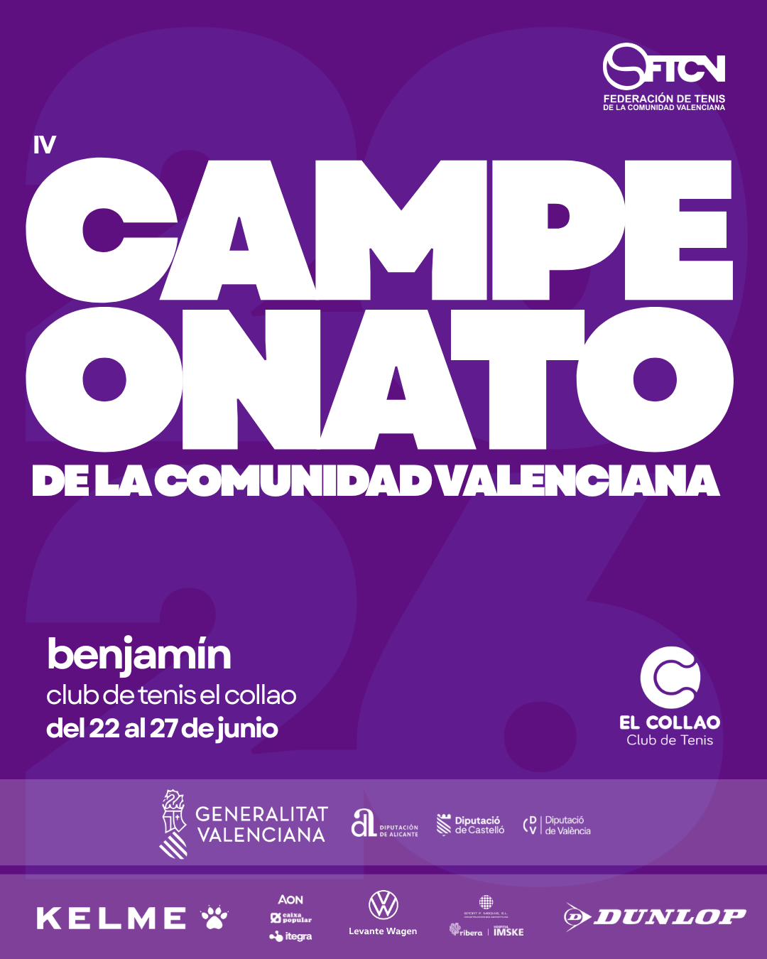 Cartel Campeonato de la Comunitat Valenciana Benjamín